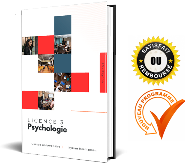L3 Psycho Fiches