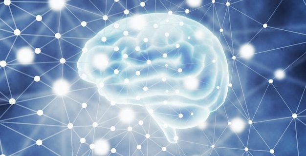 Activité électrique dans le réseau neuronal et les synapses du cerveau humain